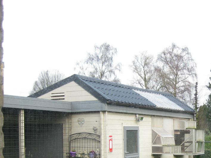 Mijn duivenhok, voor 15 duivers voor de grote fond en +/- 25 jonge duiven
