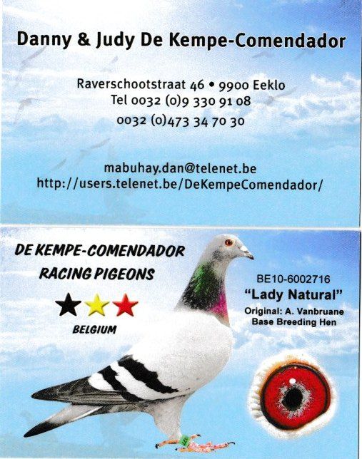De nieuwe Lijn Fondduiven van Danny & Judy De Kempe & Comendador.
Bezoek de Webesite http://users.telenet.be/de kempecomendador/
Super Fondduiven bedankt Danny & Judy